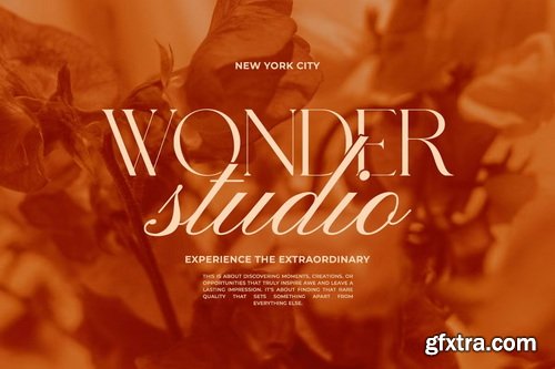 CreativeMarket - Bryn Vogue Elegant Modern Serif