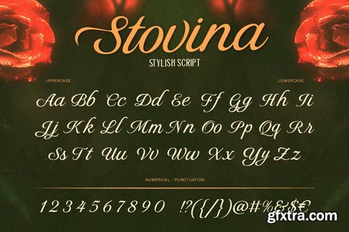 CreativeMarket - Stovina Font