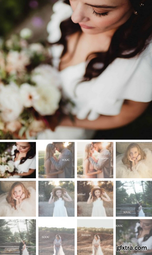 Twig & Olive - Lightroom and ACR Presets | Fernweh South