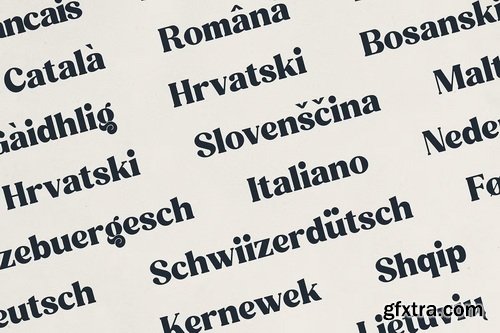 CreativeMarket - Quindle Retro Serif Display Font