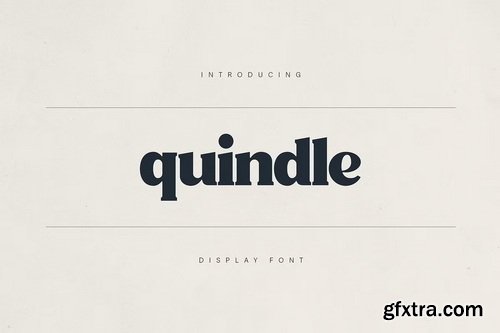 CreativeMarket - Quindle Retro Serif Display Font