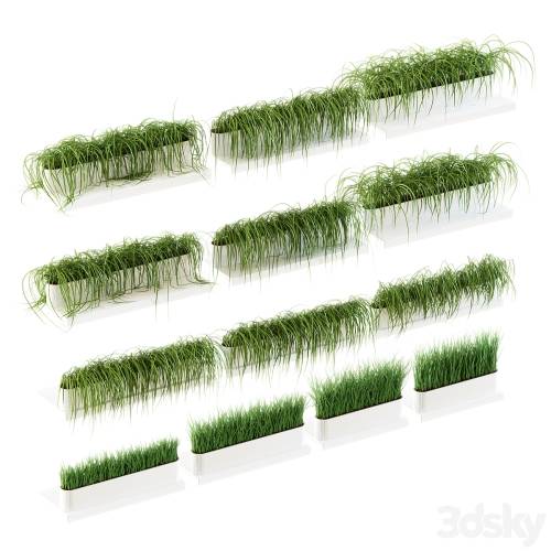 '3dsky Pro - Grass for shelves. 13 models of v2' '3dsky Pro - Grass for shelves. 13 models of v2'