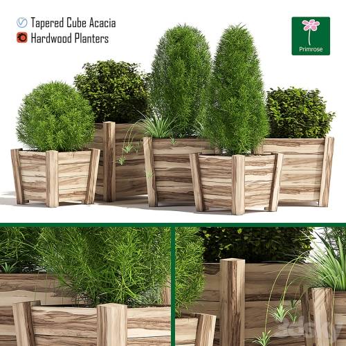 '3dsky Pro - Hardwood planters'