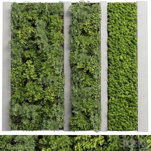 '3dsky Pro - Concrete frame Vertical garden plant and moss garden wall decor box 66' '3dsky Pro - Concrete frame Vertical garden plant and moss garden wall decor box 66'