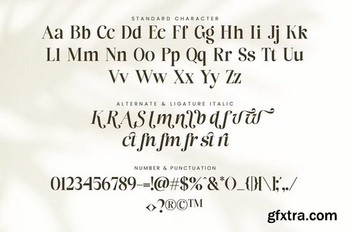 CreativeMarket - Flower Factory Stylish Modern Serif Font