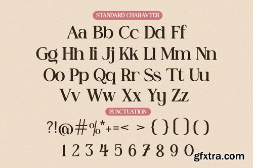 CreativeMarket - Domary Modern Elegant Luxury Serif Font