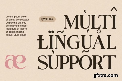 CreativeMarket - Domary Modern Elegant Luxury Serif Font