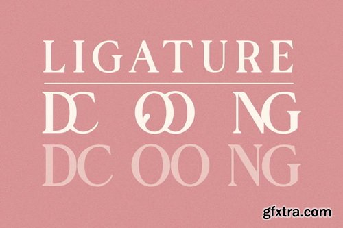 CreativeMarket - Domary Modern Elegant Luxury Serif Font
