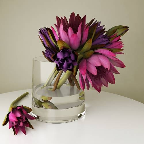 '3dsky Pro - lotuses' '3dsky Pro - lotuses'