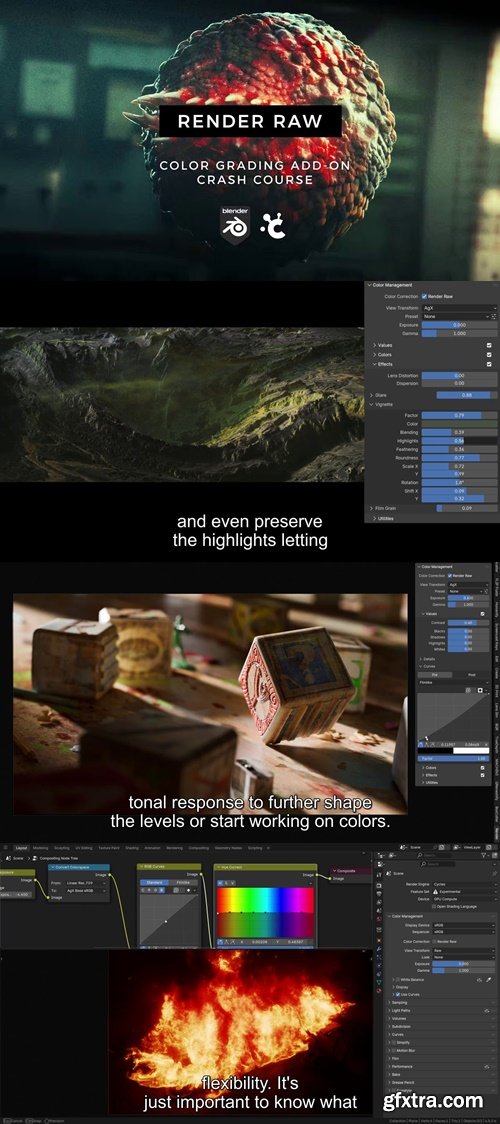 Creativeshrimp - Mini-Course on Color Grading with Render Raw