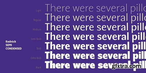 MyFonts - Badnick Font Family 42xOTF