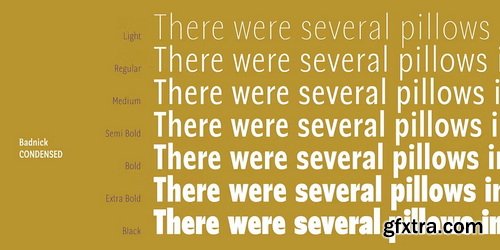 MyFonts - Badnick Font Family 42xOTF