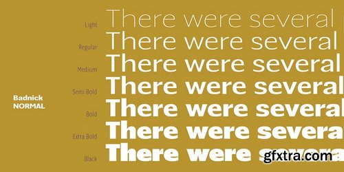 MyFonts - Badnick Font Family 42xOTF
