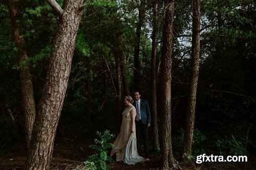 Brandi Potter - Hex Presets