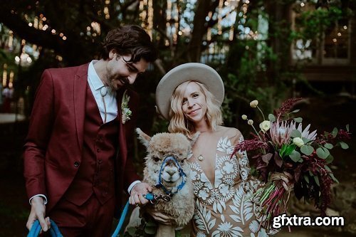 Brandi Potter - Hex Presets Brandi Potter - Hex Presets