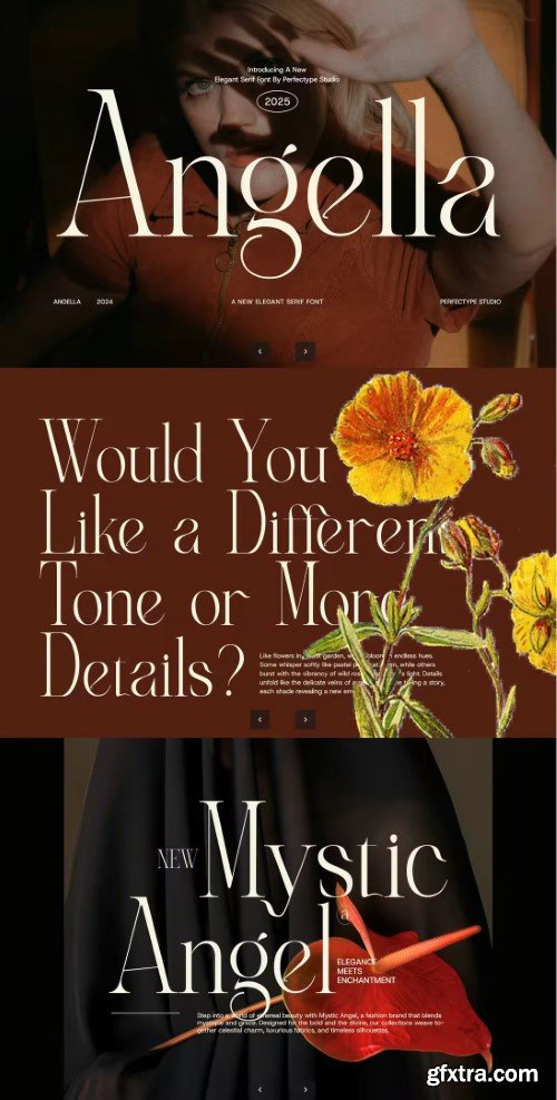 Angella Elegant Serif Font