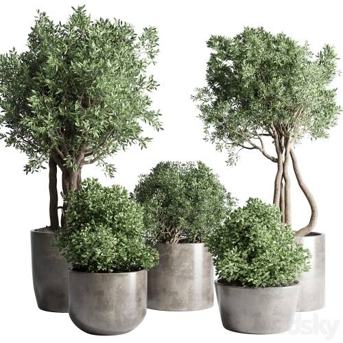 '3dsky Pro - Collection Outdoor Indoor plant 53 concrete dirt vase pot tree bush' '3dsky Pro - Collection Outdoor Indoor plant 53 concrete dirt vase pot tree bush'