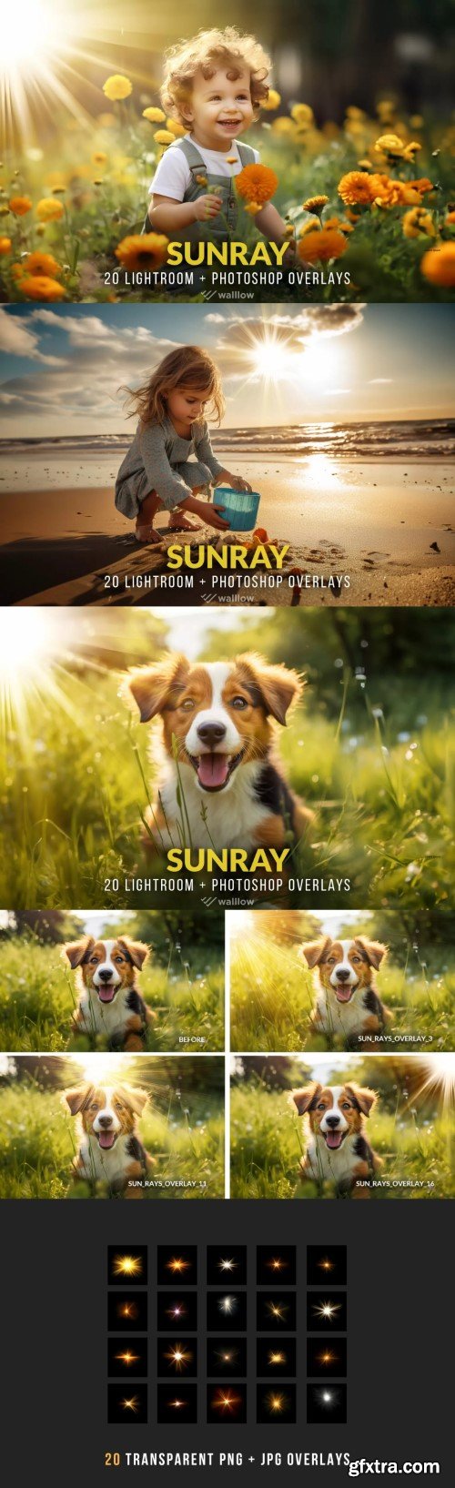 Realistic sunlight PNG and JPG overlays