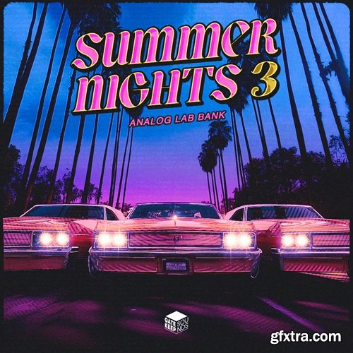 IInfinite and LifeStyleDidIt Summer Nights 3 - Analog Lab V Bank