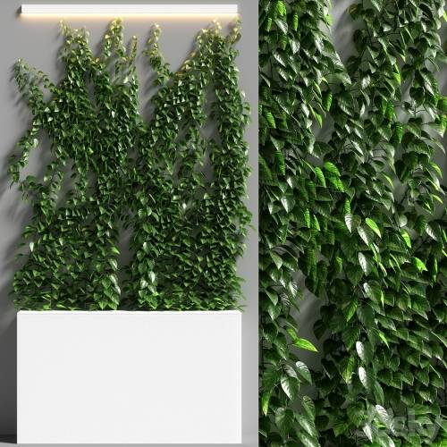 '3dsky Pro - vertical garden 08' '3dsky Pro - vertical garden 08'