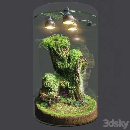 '3dsky Pro - Dwarf Florarium'