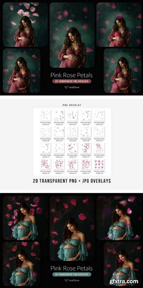 Pink rose flower petals transparent PNG overlays