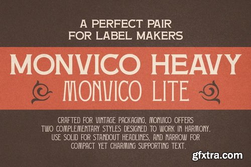 CreativeMarket - Monvico Label Display Font