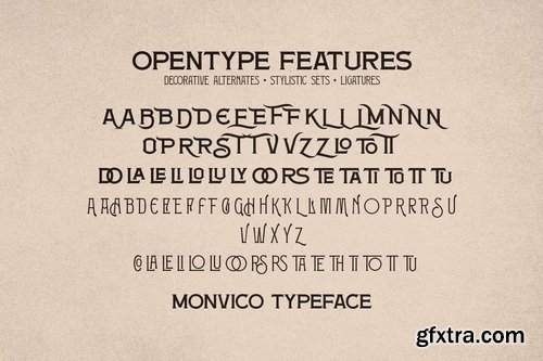 CreativeMarket - Monvico Label Display Font