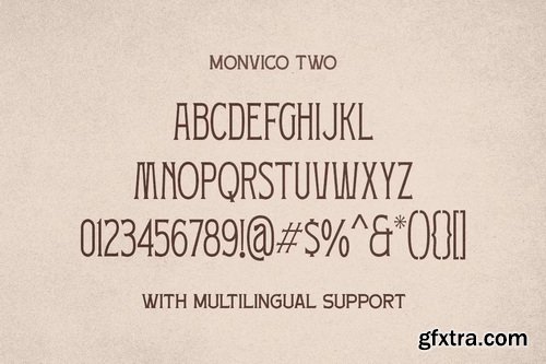 CreativeMarket - Monvico Label Display Font
