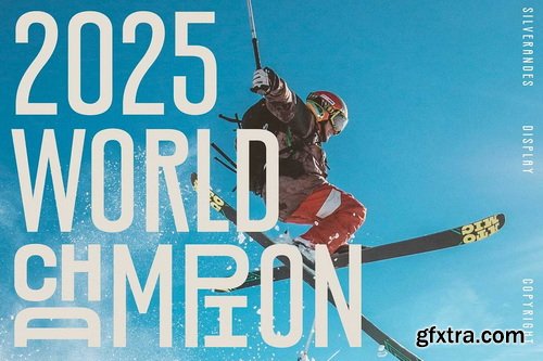 CreativeMarket - Silverandes Condensed Display Font