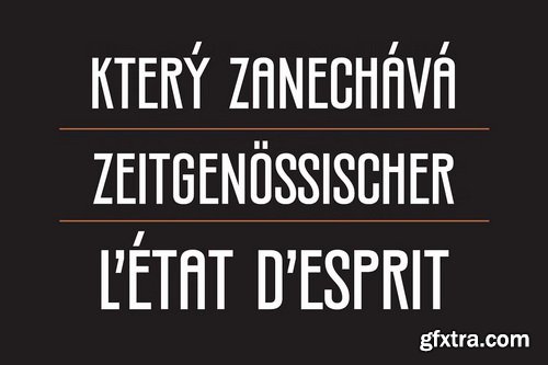 CreativeMarket - Silverandes Condensed Display Font