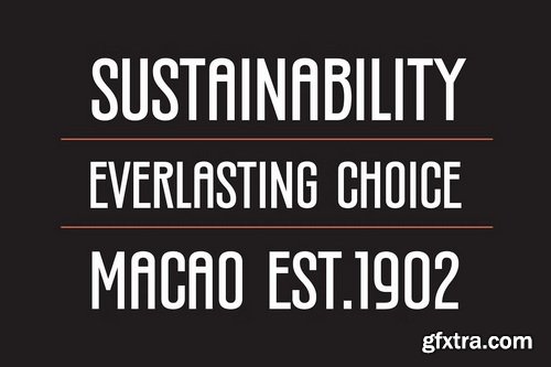 CreativeMarket - Silverandes Condensed Display Font