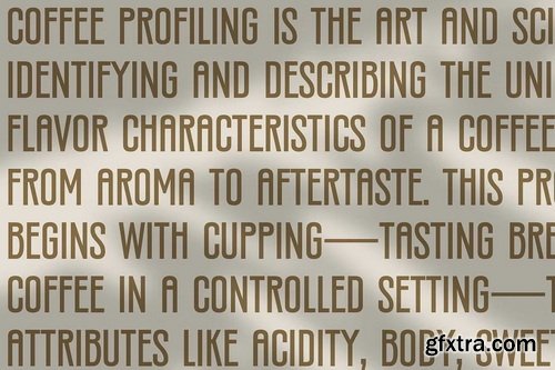 CreativeMarket - Silverandes Condensed Display Font