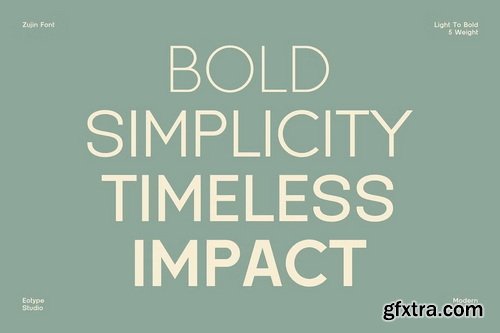 CreativeMarket - Zujin Geometric Sans Serif