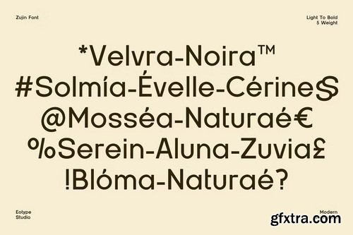 CreativeMarket - Zujin Geometric Sans Serif