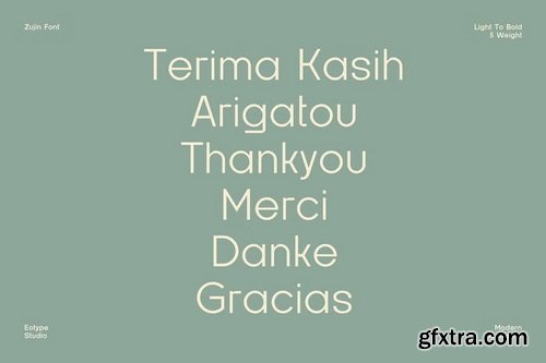 CreativeMarket - Zujin Geometric Sans Serif