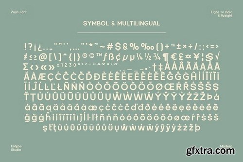 CreativeMarket - Zujin Geometric Sans Serif