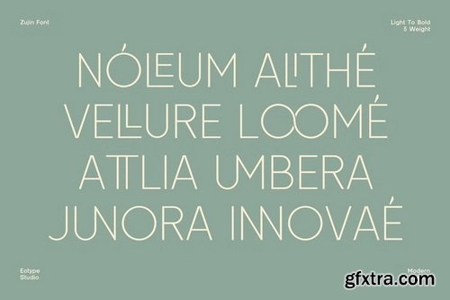 CreativeMarket - Zujin Geometric Sans Serif