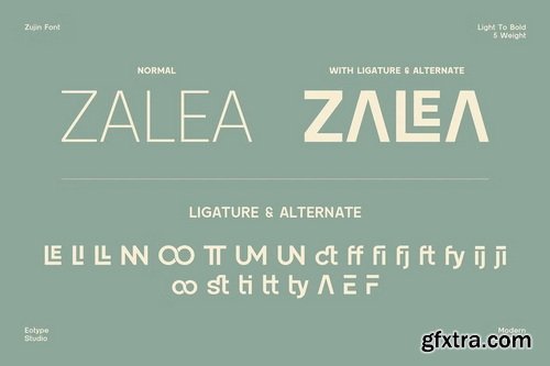 CreativeMarket - Zujin Geometric Sans Serif