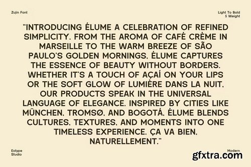 CreativeMarket - Zujin Geometric Sans Serif