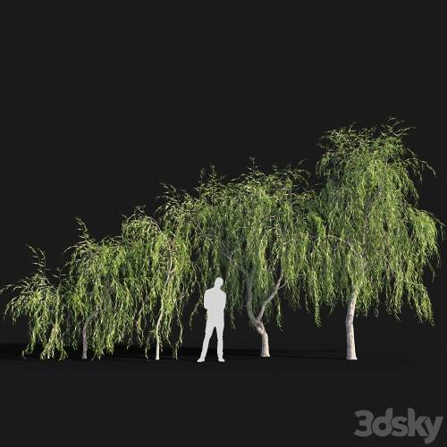 '3dsky Pro - Willow # 4 (2.6 m - 5.7 m)'