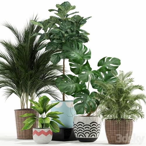 '3dsky Pro - Plants collection 115' '3dsky Pro - Plants collection 115'