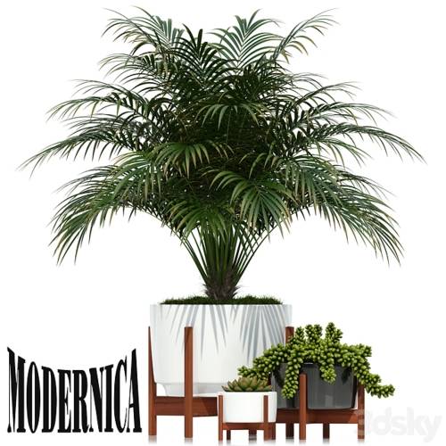 '3dsky Pro - Plants collection 68 Modernica pots'