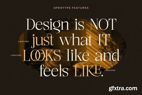 CreativeMarket - Luxury Styilsh Modern Serif Font