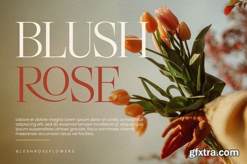 CreativeMarket - Luxury Styilsh Modern Serif Font