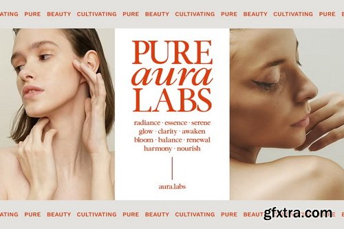 CreativeMarket - Serefine Elegant & Romantic Serif