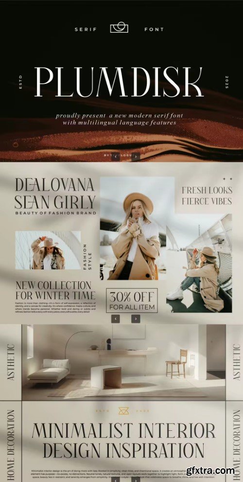 Plumdisk - Modern Serif Font