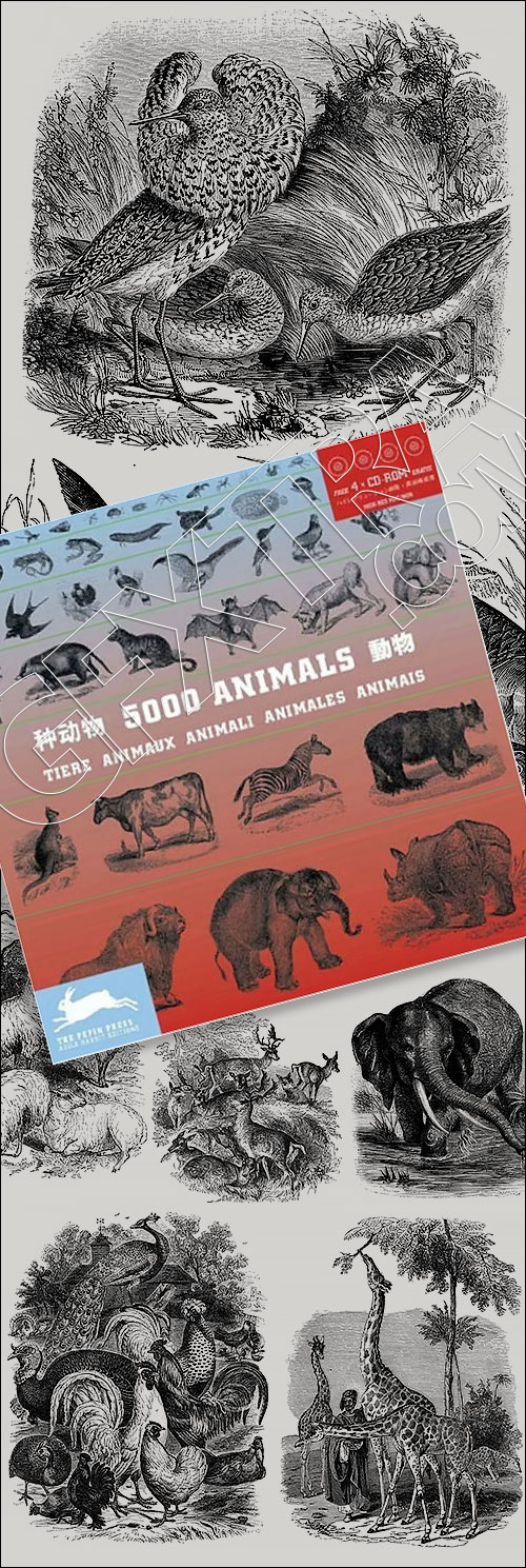 The Pepin Press - 5000 Animals, 2531xTIFF