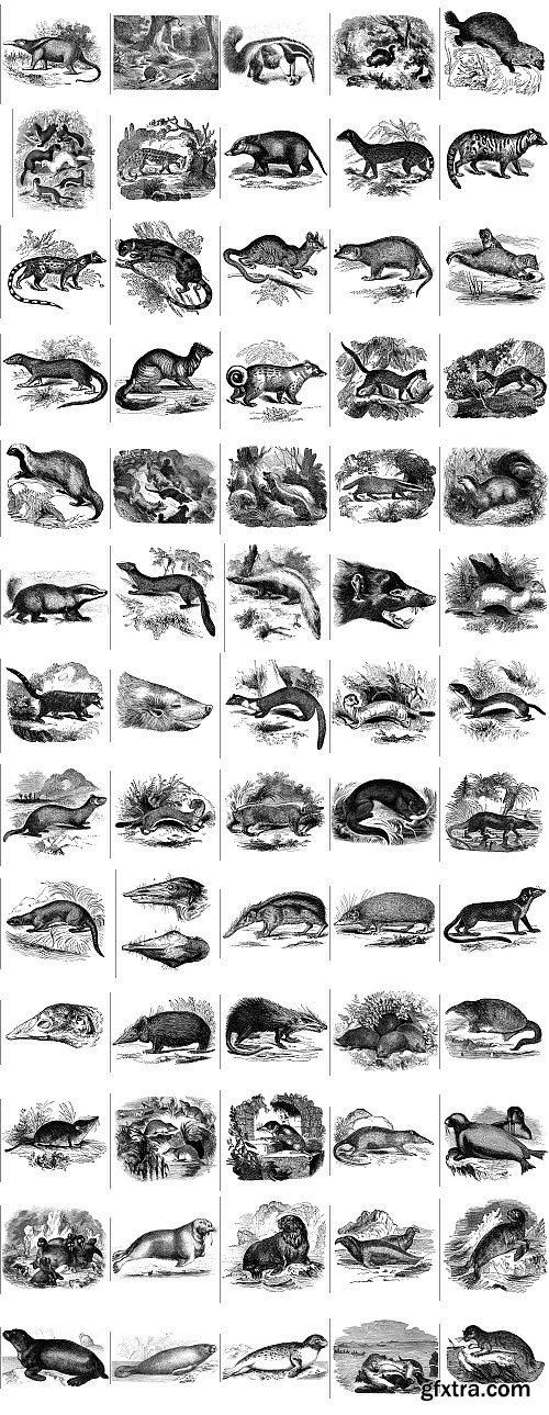 The Pepin Press - 5000 Animals, 2531xTIFF