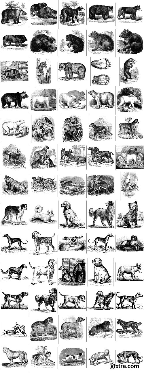 The Pepin Press - 5000 Animals, 2531xTIFF